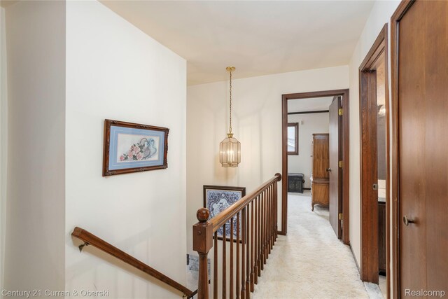 16123 Nola Dr, Livonia, MI 48154 - photo 20