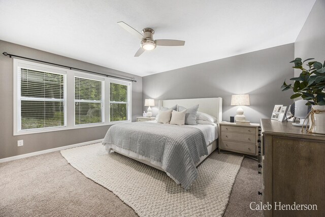 9243 Trafalgar Dr SE, Alto, MI 49302 - photo 20