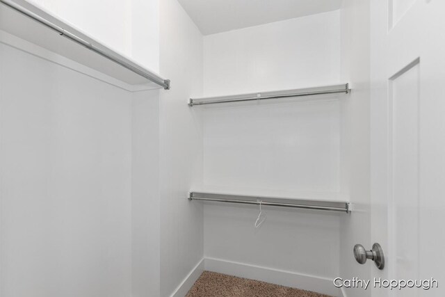 7620 Walnut Grv Rd, Portland, MI 48875 - photo 31