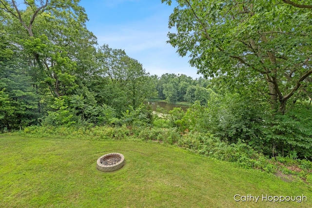 7620 Walnut Grv Rd, Portland, MI 48875 - photo 47