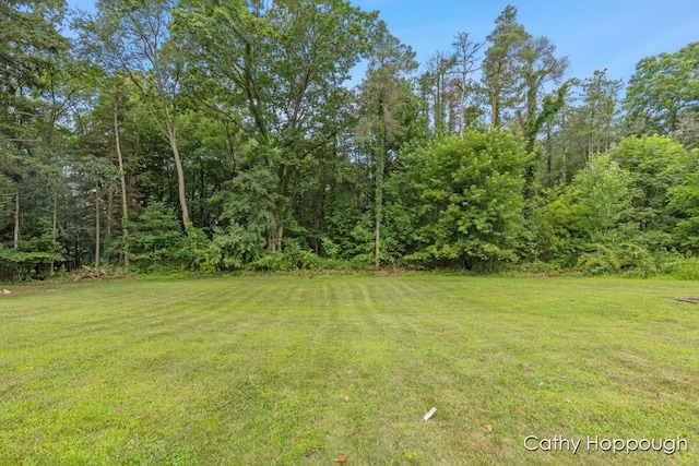 7620 Walnut Grv Rd, Portland, MI 48875 - photo 49