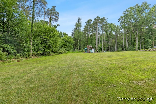 7620 Walnut Grv Rd, Portland, MI 48875 - photo 50