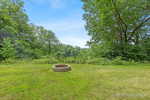 7620 Walnut Grv Rd, Portland, MI 48875 - photo 58