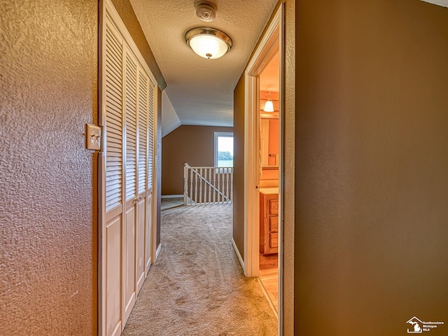 2461 Maple Rd, Ida, MI 48140 - photo 24