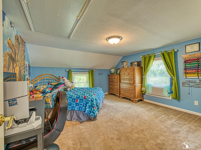 2461 Maple Rd, Ida, MI 48140 - photo 25