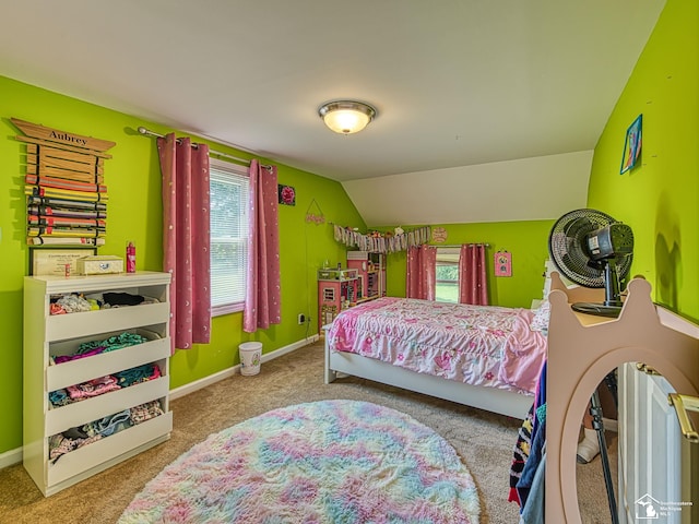 2461 Maple Rd, Ida, MI 48140 - photo 27