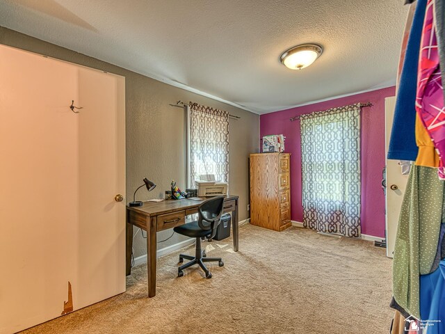 2461 Maple Rd, Ida, MI 48140 - photo 18