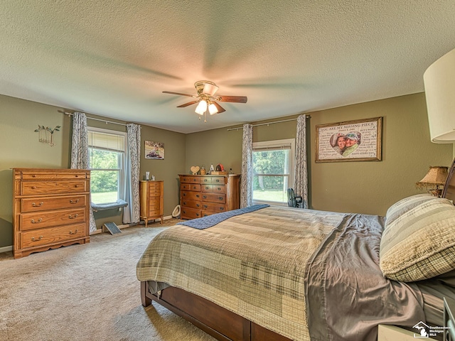 2461 Maple Rd, Ida, MI 48140 - photo 17