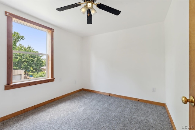 956 Howell Ave, Adrian, MI 49221 - photo 30