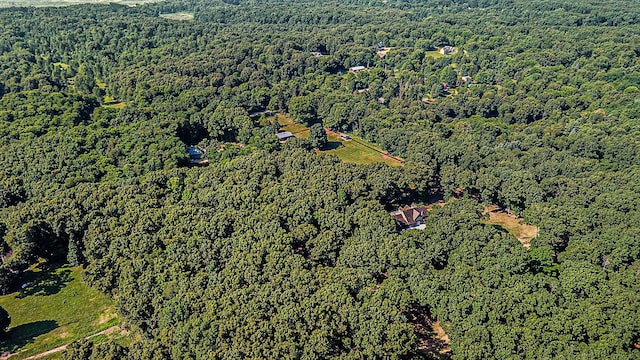 23504 64th Ave, Mattawan, MI 49071 - photo 59