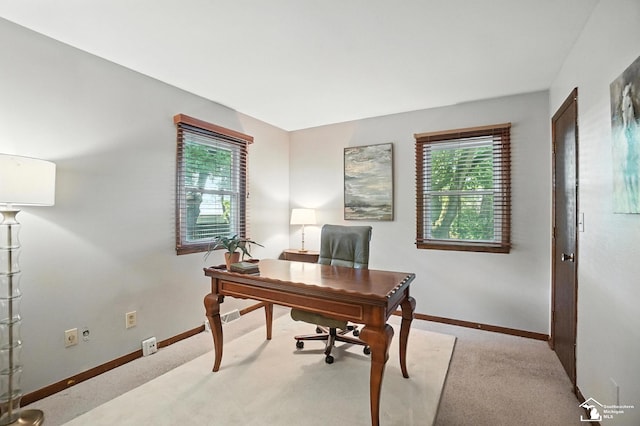 1060 Hollywood Dr, Monroe, MI 48162 - photo 32