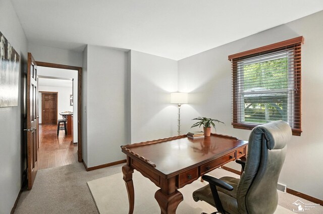 1060 Hollywood Dr, Monroe, MI 48162 - photo 33