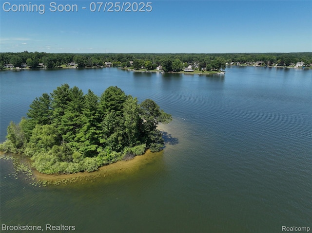 9317 Ridge Rd, Goodrich, MI 48438 - photo 15