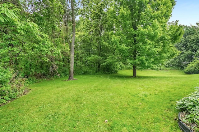 6228 Cross Bend Ct Unit 6, Kalamazoo, MI 49009 - photo 19