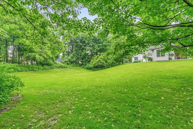 6228 Cross Bend Ct Unit 6, Kalamazoo, MI 49009 - photo 20