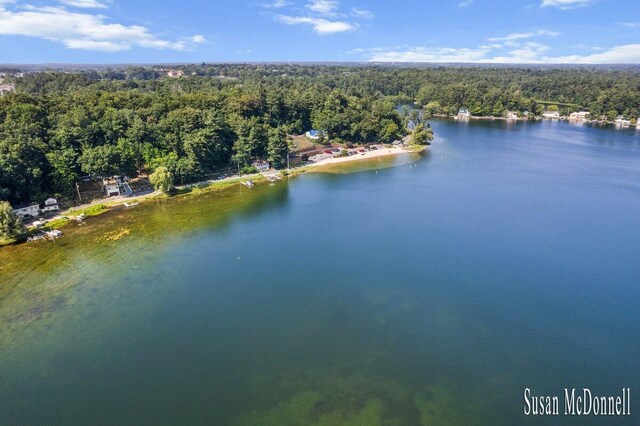 651 W Baldwin Lake Dr, Greenville, MI 48838 - photo 15