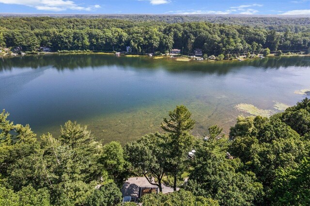 651 W Baldwin Lake Dr, Greenville, MI 48838 - photo 12