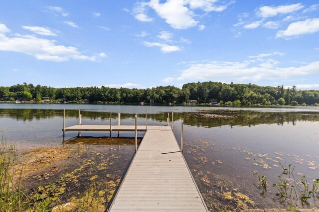651 W Baldwin Lake Dr, Greenville, MI 48838 - photo 9
