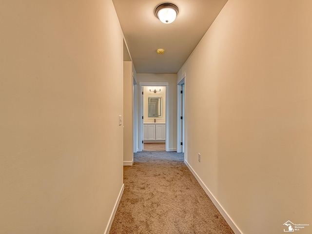 15604 Pine St, Monroe, MI 48161 - photo 20