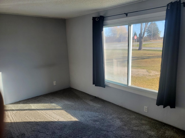 9479 Bailey Rd, Howard City, MI 49329 - photo 7
