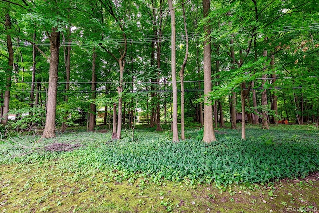 34325 Oak Forest Dr, Farmington Hills, MI 48331 - photo 29
