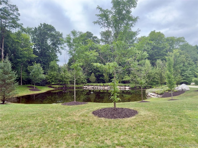 34325 Oak Forest Dr, Farmington Hills, MI 48331 - photo 31