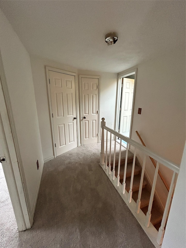 24499 Martindale Rd, South Lyon, MI 48178 - photo 29