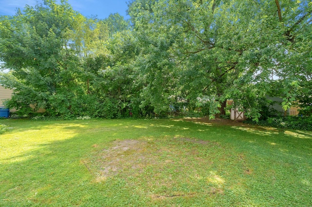 1217 Coolidge Ave, Kalamazoo, MI 49006 - photo 26