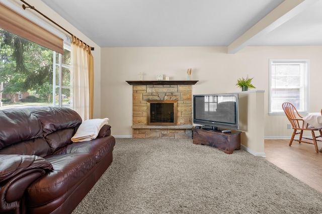 1217 Coolidge Ave, Kalamazoo, MI 49006 - photo 4