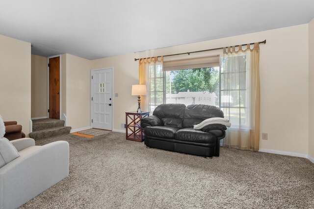 1217 Coolidge Ave, Kalamazoo, MI 49006 - photo 6