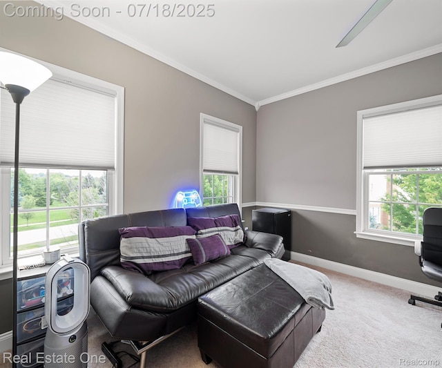 50437 Tamarack Trl, Northville, MI 48168 - photo 61