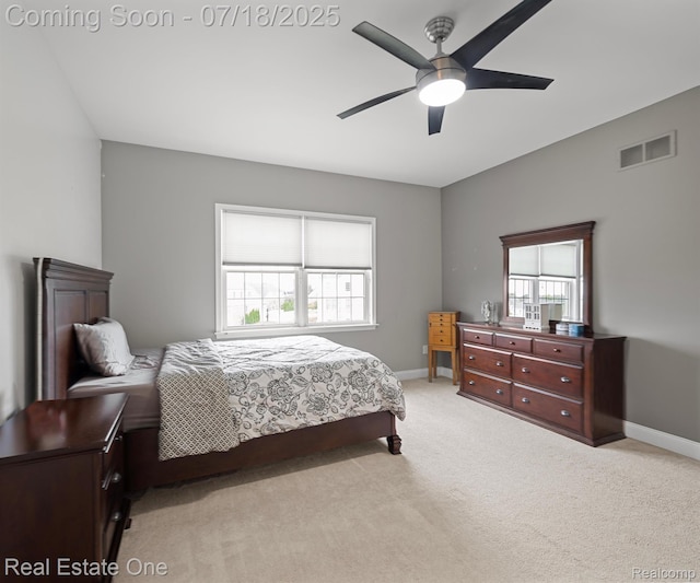 50437 Tamarack Trl, Northville, MI 48168 - photo 36