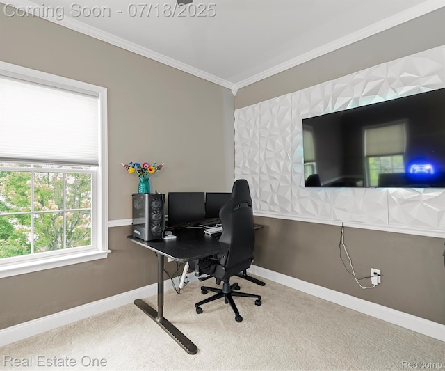 50437 Tamarack Trl, Northville, MI 48168 - photo 63