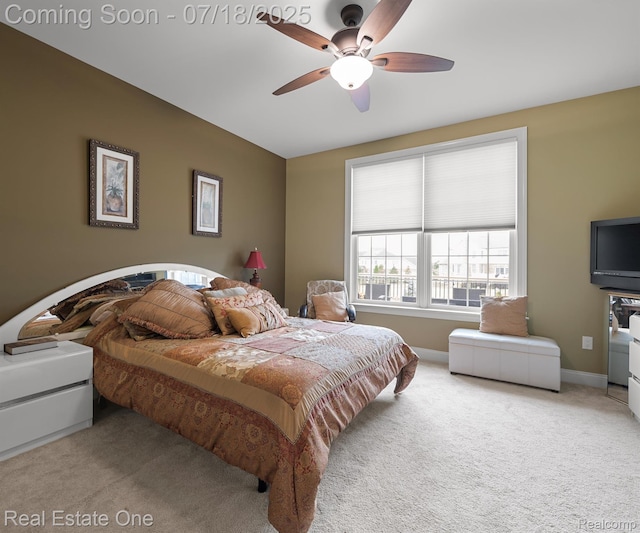 50437 Tamarack Trl, Northville, MI 48168 - photo 24