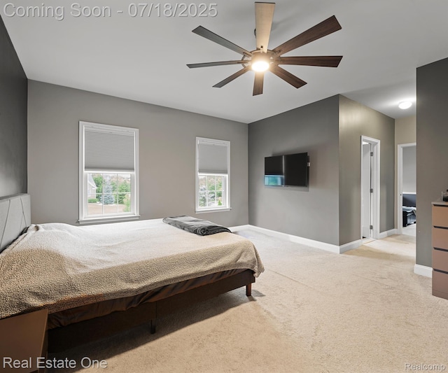 50437 Tamarack Trl, Northville, MI 48168 - photo 56