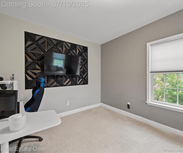 50437 Tamarack Trl, Northville, MI 48168 - photo 42