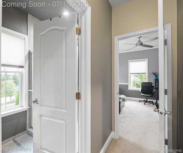 50437 Tamarack Trl, Northville, MI 48168 - photo 58
