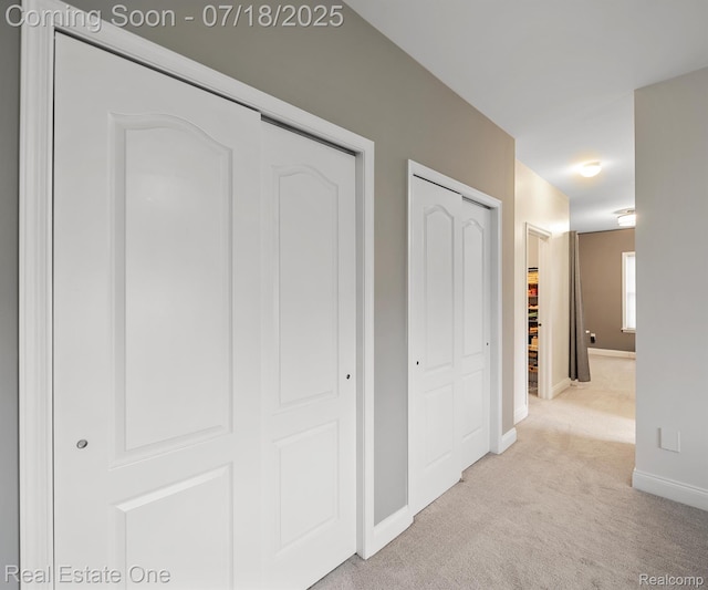 50437 Tamarack Trl, Northville, MI 48168 - photo 38