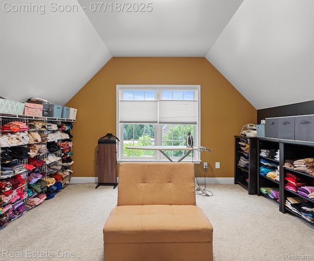 50437 Tamarack Trl, Northville, MI 48168 - photo 54