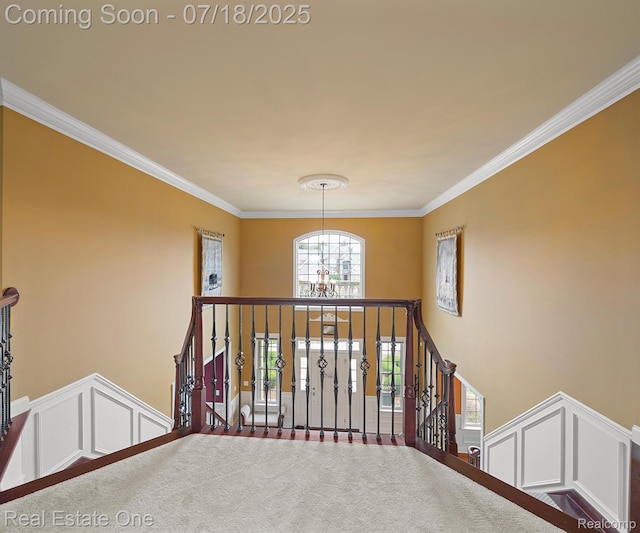 50437 Tamarack Trl, Northville, MI 48168 - photo 33