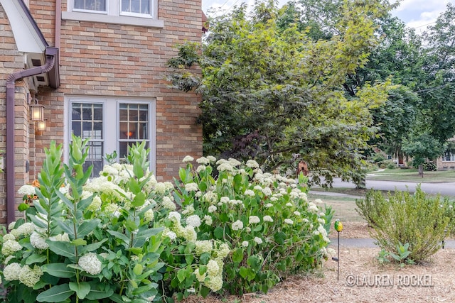 2200 College Ave SE, Grand Rapids, MI 49507 - photo 6