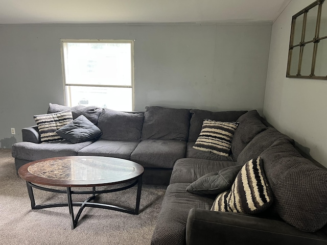 7415 Whitehall Rd # 49, Whitehall, MI 49461 - photo 3