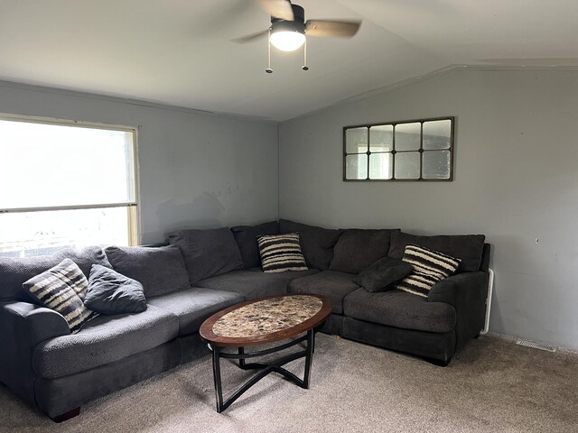7415 Whitehall Rd # 49, Whitehall, MI 49461 - photo 4