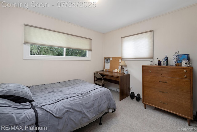 7750 Chilson Rd, Pinckney, MI 48169 - photo 14