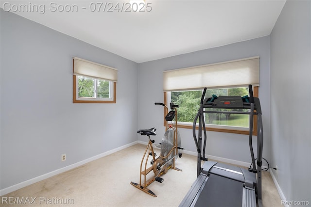 7750 Chilson Rd, Pinckney, MI 48169 - photo 16