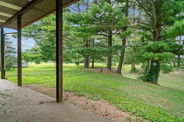 5560 Dewey Rd, Hillsdale, MI 49242 - photo 16