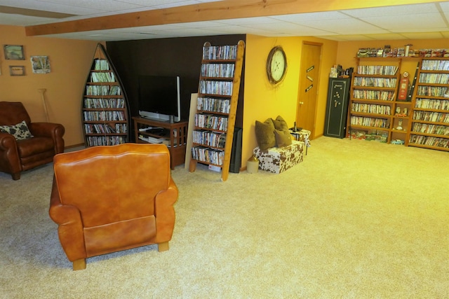 8413 E Chippewa Trl, Mount Pleasant, MI 48858 - photo 27