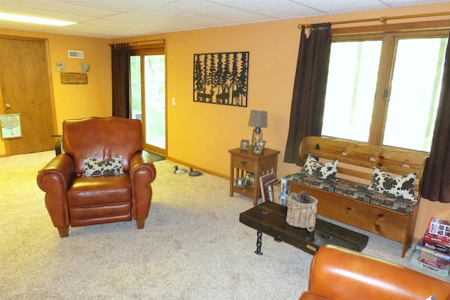 8413 E Chippewa Trl, Mount Pleasant, MI 48858 - photo 28