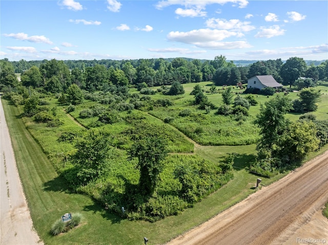0 E Cole Rd, Durand, MI 48429 - photo 9