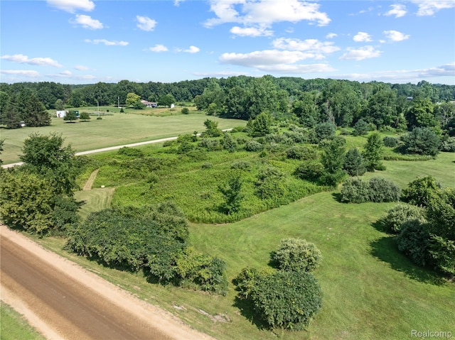 0 E Cole Rd, Durand, MI 48429 - photo 8